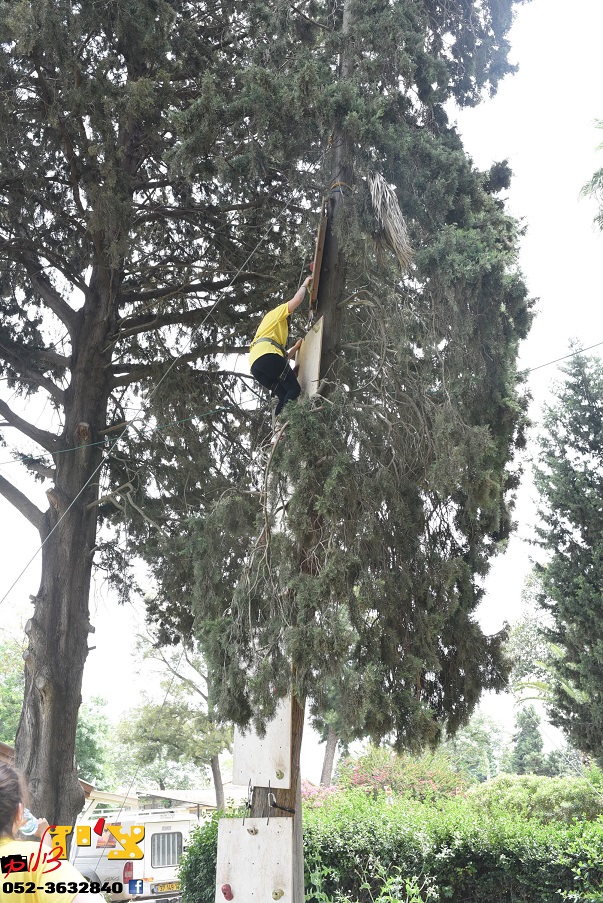 חבר על עץ גבוה מטפס בקיר טיפוס על עץ קלאבהאוס יום ספורט